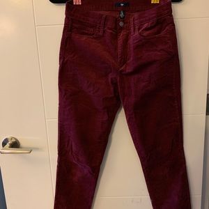 GAP velvet skinny jeans